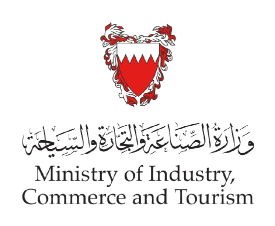 Web Design & Development Icon