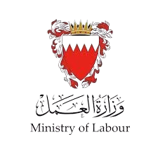 Web Design & Development Icon