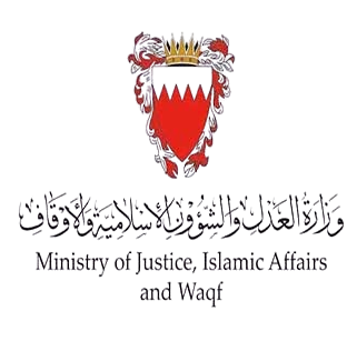 Web Design & Development Icon